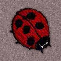 Lady Bug (LG237)