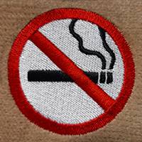 No Smoking (LG361)