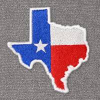 Texas with Flag (LG407)