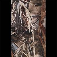 TrueTimber DRT™ 2-Tone