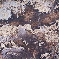 TrueTimber® Prairie™ Solid