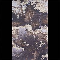 TrueTimber Prairie™ 2-Tone