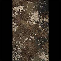 TrueTimber Strata™ 2-Tone