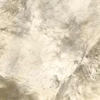 Sheepskin Beige